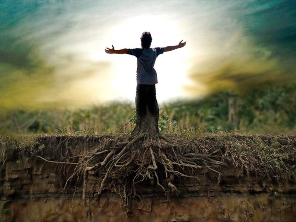 Grounding Service - Boots - Picture Session