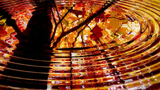 Group Cleansing and Attachment Removal Session - Zoom Session - Tuesday 3/8/2022 @ 7PM PST